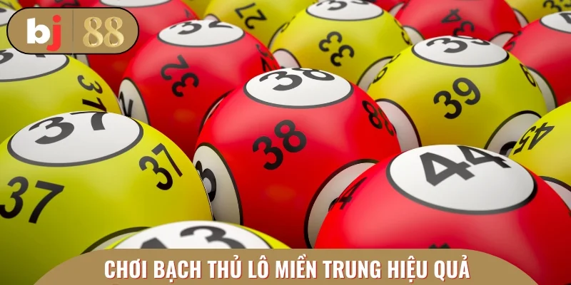 Cẩm nang chơi bạch thủ lô miền Trung hiệu quả từ cao thủ