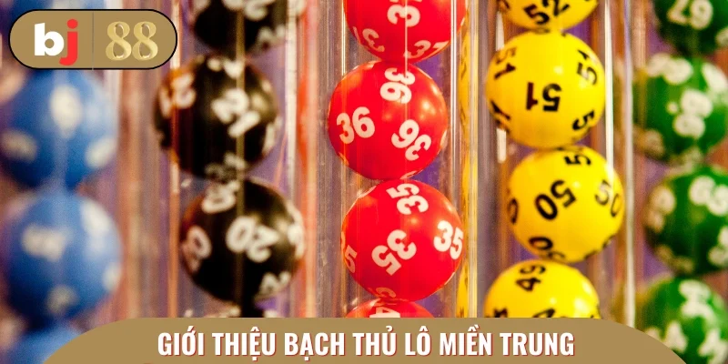 Bạch thủ lô miền Trung - Cách chơi xổ số cực hấp dẫn