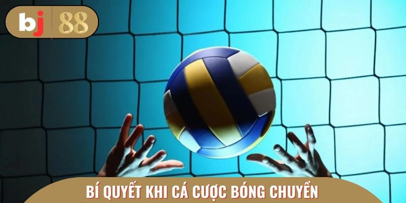 Bí quyết dự đoán bóng chuyền hiệu quả