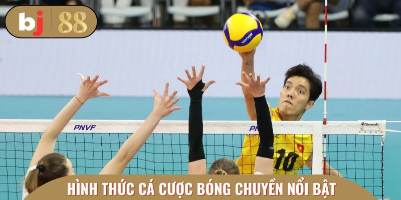 Các hình thức cá cược bóng chuyền với tính phổ biến