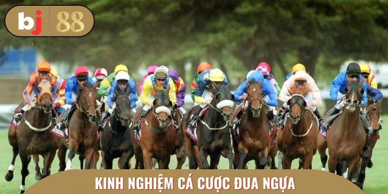 Mẹo hay ăn chắc chiến thắng lên đến 99%