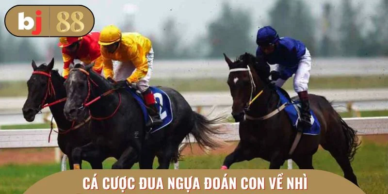 Hình thức đoán con về nhì khá được ưa chuộng