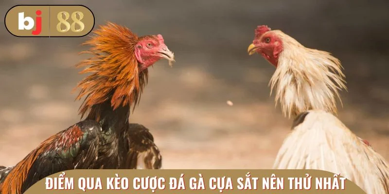 Điểm qua các kèo cược đá gà cựa sắt nên thử nhất