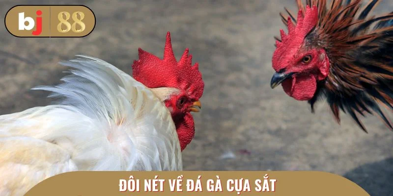 Cao thủ bật mí cách ăn lớn không cần hên