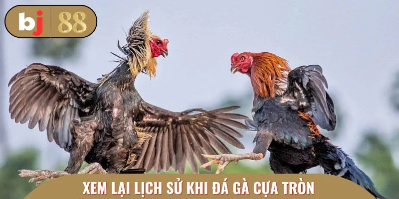 Xem lại lịch sử để phân tích tường tận