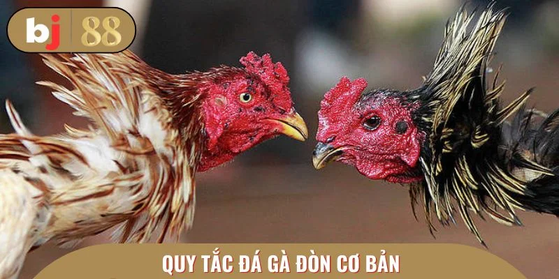 Quy tắc đá gà đòn cơ bản
