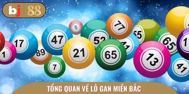 Giới thiệu cơ bản về lô gan miền Bắc