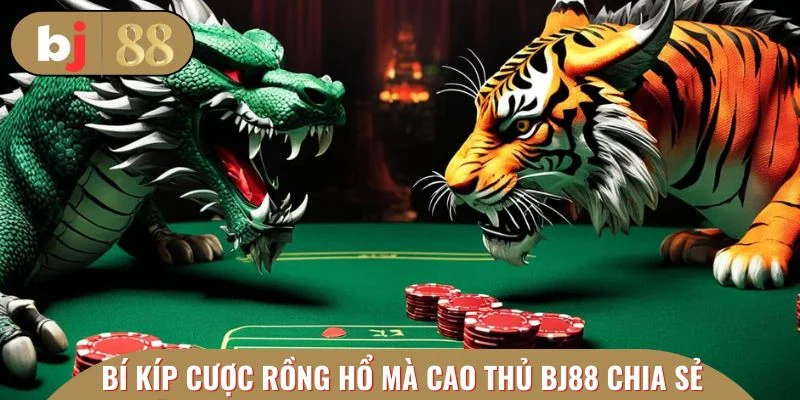 Bí kíp đặt cược rồng hổ mà cao thủ BJ88 chia sẻ